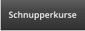Schnupperkurse